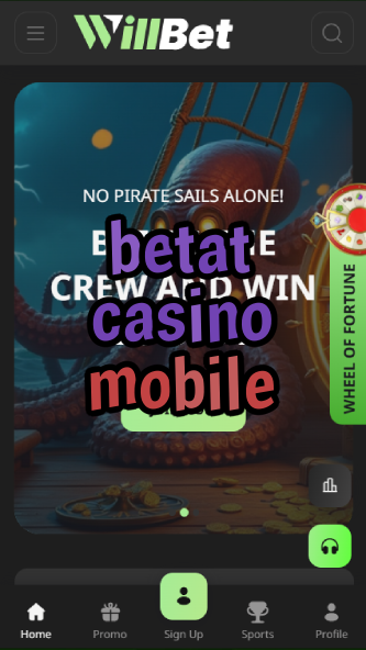 betat casino mobile-asdasdzhjkds.com